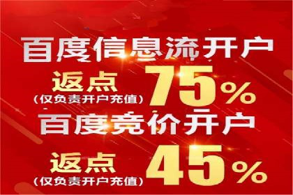 网络推广竞价实战：某电商平台的成功案例